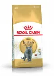 Royal Canin Adult British Shorthair kuiv kassitoit, 2 x 2 kg