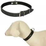 Nahast must krae koertele, 20&ndash;27 cm, 10 mm