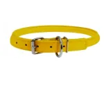 Nahast koera kaelarihm WAUDOG, kollane, 13 mm, 45&ndash;53 cm, ringikujuline