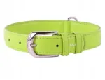 Koera kaelarihm WAUDOG, naturaalnahk, 15 mm, 27&ndash;36 cm