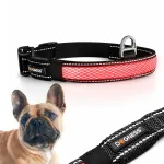 Valgust helendav koera kaelarihm DOGNESS, reguleeritav, 31&ndash;40 cm, suurus S