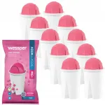 Wessper AquaClassic Mg+ kannu filtrid, 10 tk
