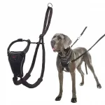 Koera rakmed Company of Animals Halti No Pull, mustad, suurus L, 15320A