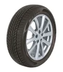 Talverehv Goodride Trazano SW608 205/55R16 91H (3PMSF) 2023