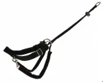 Koera rakmed Easy Walk S TX-1301