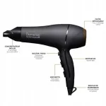 Juuksef&ouml;&ouml;n Demeliss Saint Algue Salon Series 2200 Professional