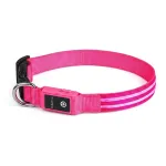 Helendav LED koera kaelarihm, USB laadimine, roosa, 40 cm, S suurus