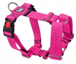 Puuvillased rakmed koertele GUARD Sunka Exclusive, M/L, 4 cm, keskmisele koerale