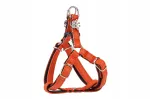 Koera rakmed Dingo, 33 x 28 cm