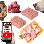 Koeratoit BARF, k&uuml;lmutatud roheline vasikaliha ja linnuliha, 10 kg