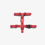 Koerte rakmed Zee Dog, Neon Coral, suurus L