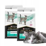 Kuiv toit kassidele PURINA PRO PLAN VETERINARY DIETS Gastro, 2 x 5 kg