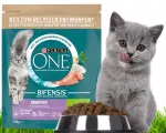 PURINA ONE Sensitive kuiv kassitoit, 750 g
