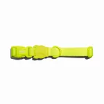 Koera kaelarihm Zee Dog Neopro 2.0, roheline, suurus L
