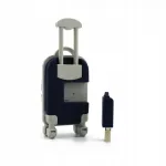 USB-m&auml;lupulk 4GB karbiga