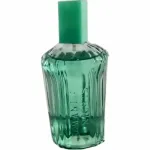 Meeste parf&uuml;&uuml;m Courage 100 ml, tumesinisest aknaga karbist