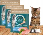 Kuivtoit kassidele PURINA ONE LIGHT kanaga, 3 x 750 g