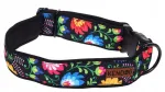 Koera kaelarihm KENDOG Folklore, S, 2 cm, 35&ndash;50 cm