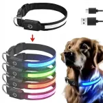 Reguleeritav USB LED RGB helendav koera kaelarihm, 60 cm, suurus L