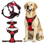 Suured koerte rakmed, punased, XL (53&ndash;96 cm), Shepherd