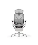 Flexispot Apollo ergonoomiline hall kontoritool 4D k&auml;etugede, peatoe ja jalatugega