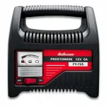 Automaatne 12V 6A auto akude tasakaalustaja