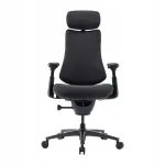 Ergonoomiline kontoritool LIBERNOVO Omni Pro, 45 cm, grafiidi ventilatsiooniga