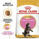 Kuiv toit kassipoegadele ROYAL CANIN Maine Coon, 400 g, t&otilde;ule