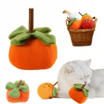 Kassi m&auml;nguasi PUMPKIN koos Matatabi vardaga