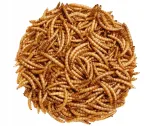 Kuivatatud jahuk&auml;rbseussid, 100 g