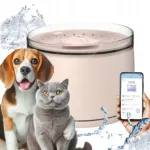 Automaatne joogipudel koertele ja kassidele DOGNESS, rakendusega juhitav, 1,8 l