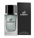 Burberry Mr. Burberry meeste tualettvesi 100 ml