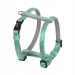 Rakmed NOBBY Classic Preno Mini, 10 mm, 30&ndash;40 cm, XXS/S, m&uuml;ndirohelised