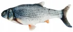 Interaktiivne kassim&auml;nguasi Purlov, kala, USB laetav, 30 cm