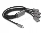 USB-jaotur Delock 64210, 4 pesa, USB Type-C, 60 cm