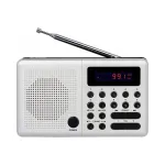 Raadio ELTRA WAGTAIL, digitaalne, MP3, USB, SD, mini, kaasaskantav