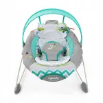 Beebikiik Bright Starts SWING N GO 10525