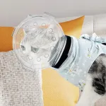 Kassi l&auml;bipaistev kaitsega suukorv, M suurus