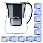 Vee filtreerimise kann Aquaphor LAGO, must, 3,8 l, 10 vahetatava filtriga