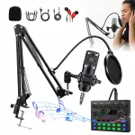 Helikaart mikrofoniga, nutikas m&uuml;rasummutus, Plug and Play