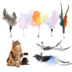 Kassim&auml;ngu &otilde;nged vahetatavate v&auml;rviliste loomulike sulgedega, 7 tk