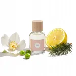 Naiste parf&uuml;&uuml;m DENISSE Eau de Parfum 50 ml
