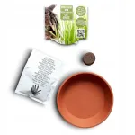 Kasside komplekt: muru seemned, terrakotapott, 15 g, Bio Earth