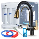 Aquaphor Morion RO-101S k&ouml;&ouml;giveefilter segistiga