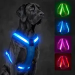 KOSKILL sinised LED pehmendusega jalutusrihmad koertele, M suurus
