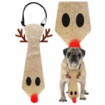 Pidulik kaelarihm suurele koerale p&otilde;dra ja pihlaka ornamentidega