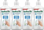 LUDWIK h&uuml;poallergiline n&otilde;udepesuvahend, 450 g, 4 tk