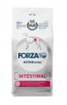 Koeratoit FORZA10 Intestinal Active, 10 kg, seedimisprobleemide jaoks