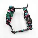 Psiakrew Guard Tropical Monster koerap&otilde;lved, suurus S/M