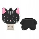 USB m&auml;lupulk kassipildiga, kingituseks